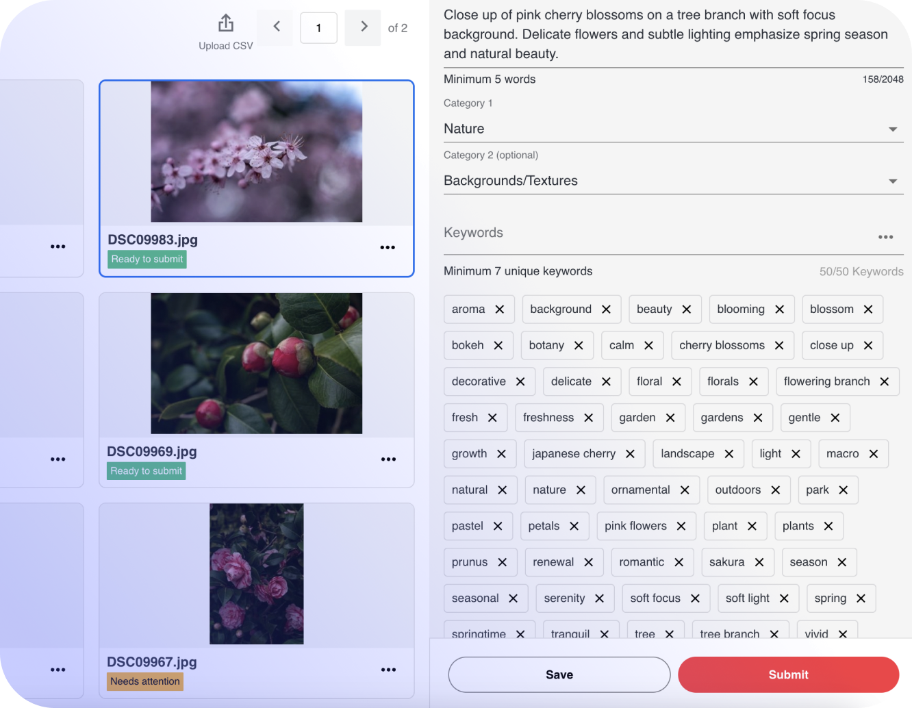 Shutterstock example output